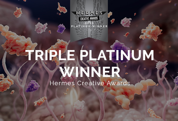 hermes creative awards 2025