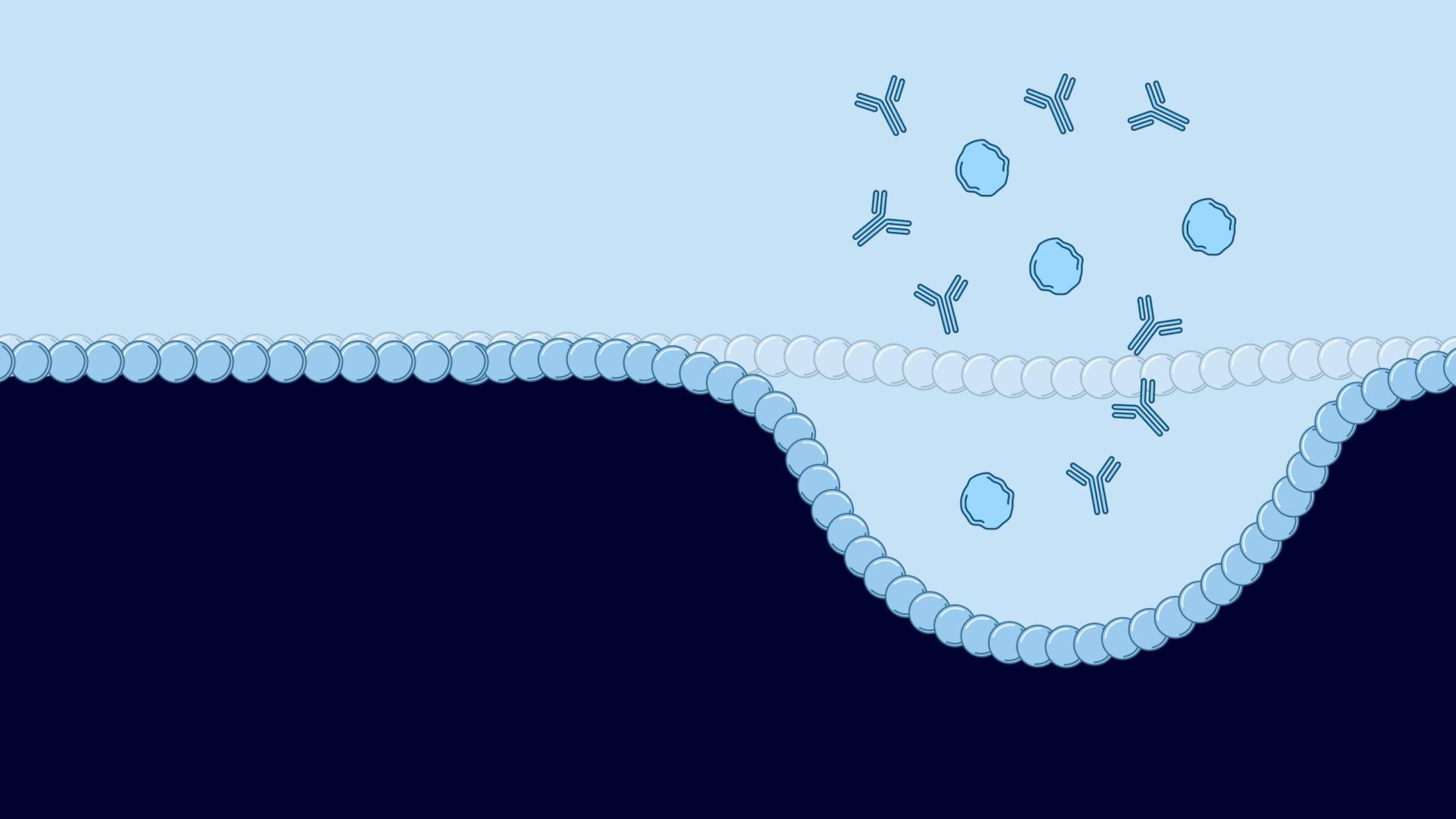 2D Medical Animation