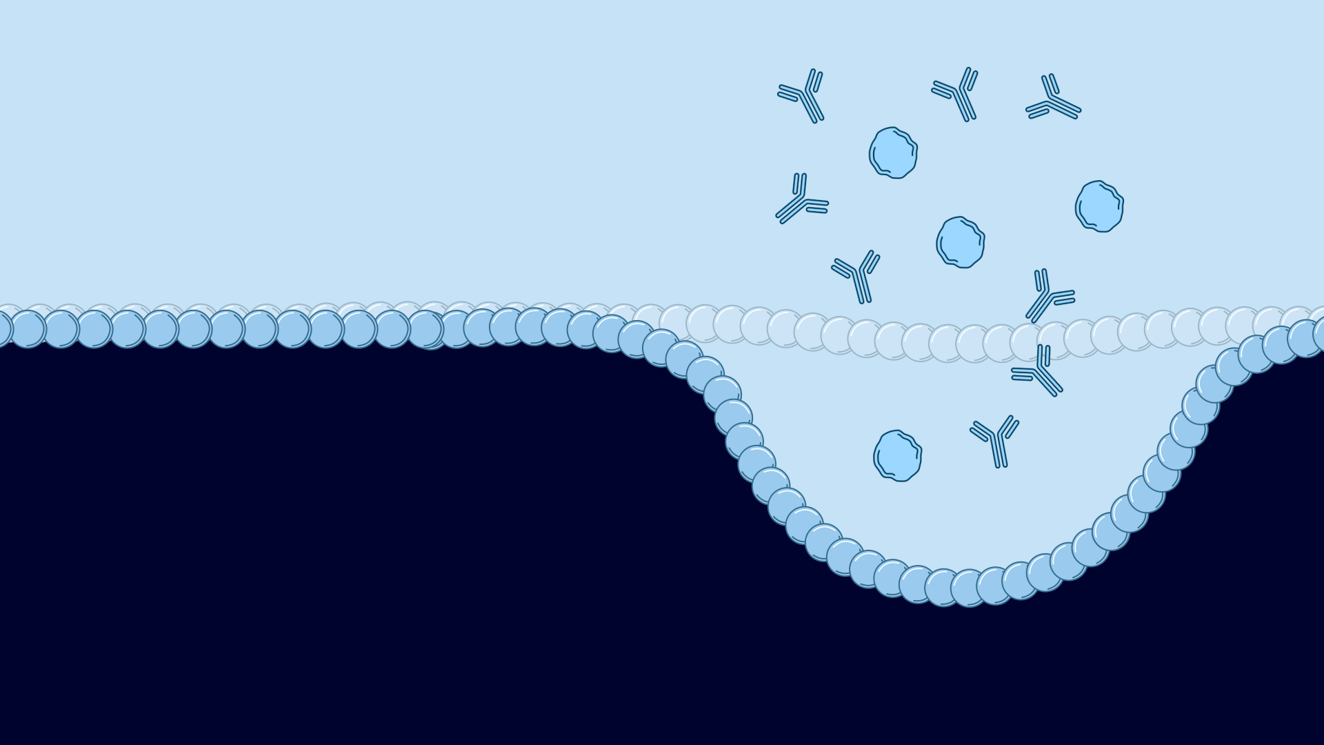 2D Medical Animation