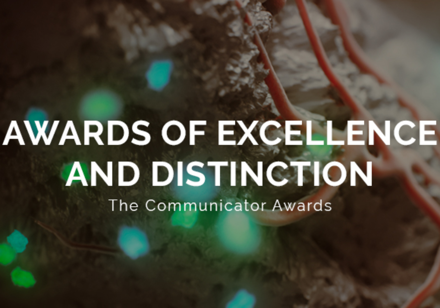 communicator awards 2025