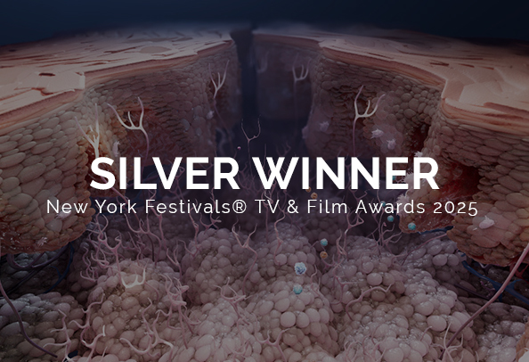 New York Festivals Tv & Film Awards 2025