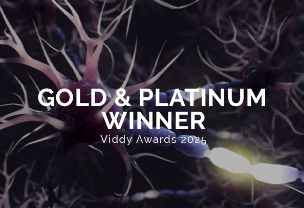 Viddy 2025 awards