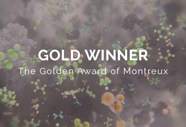 random42 golden award of montreux 2025