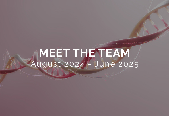 meet the random42 team jun2025