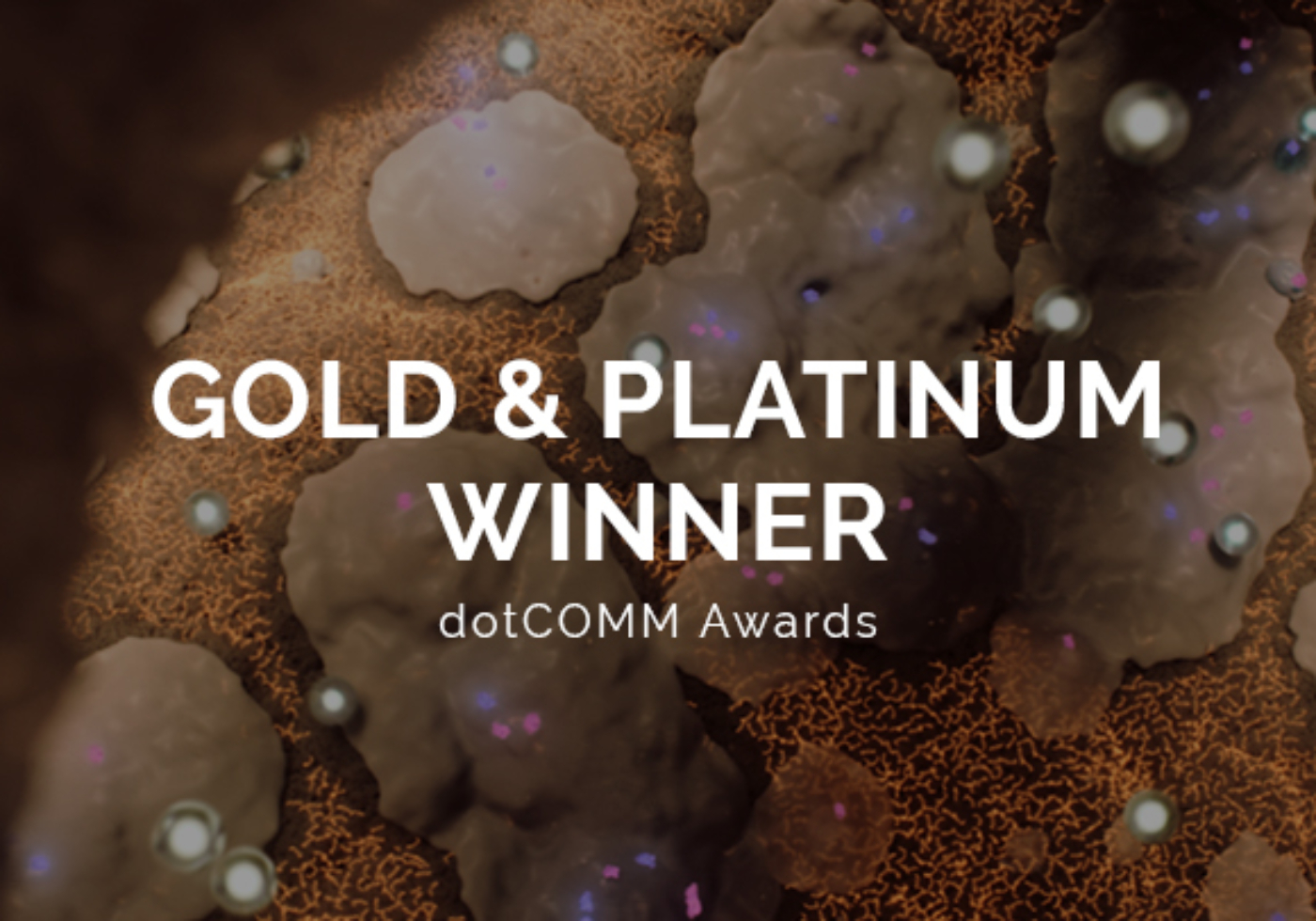 dotCOMM awards 2025