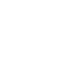 R42 Icon Omnichannel