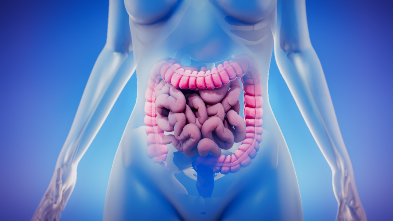 branded animation pharma