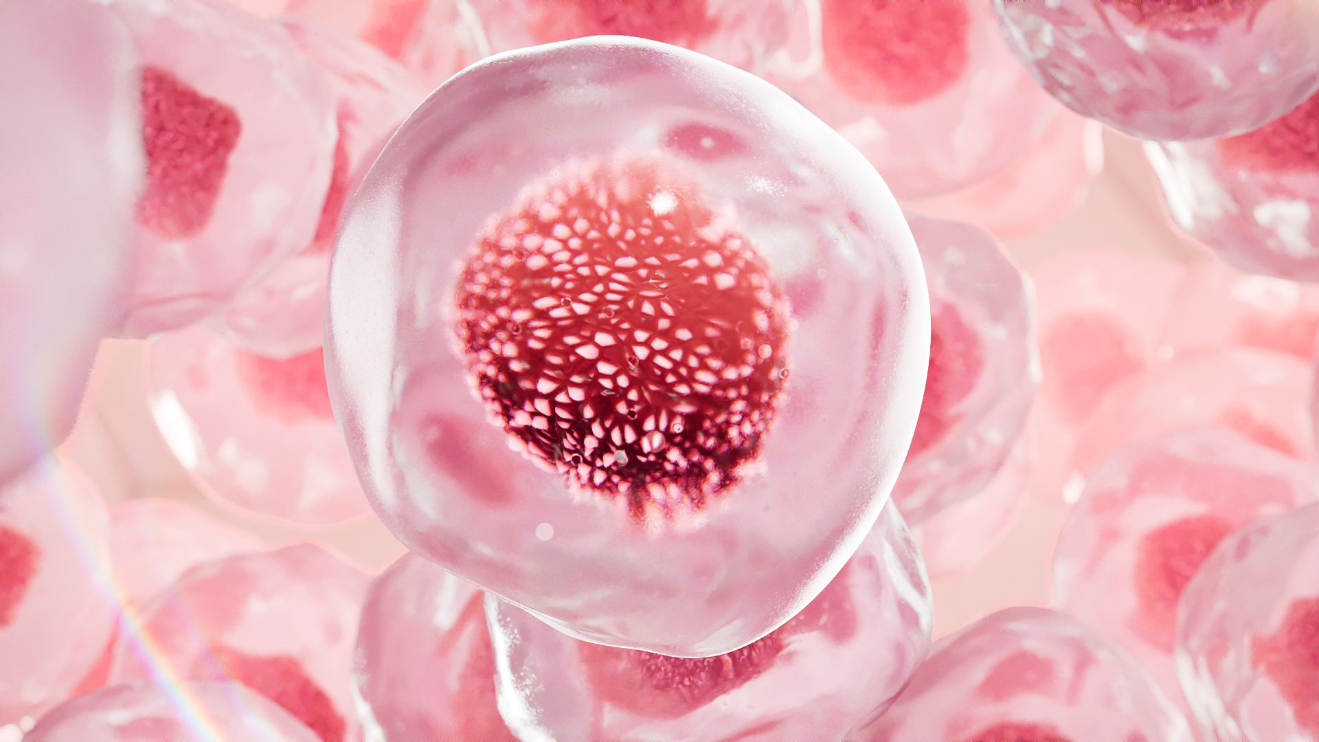 digital content for pharma social media