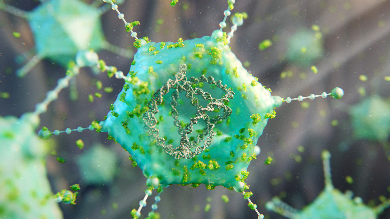 Branded Content for Product Launch