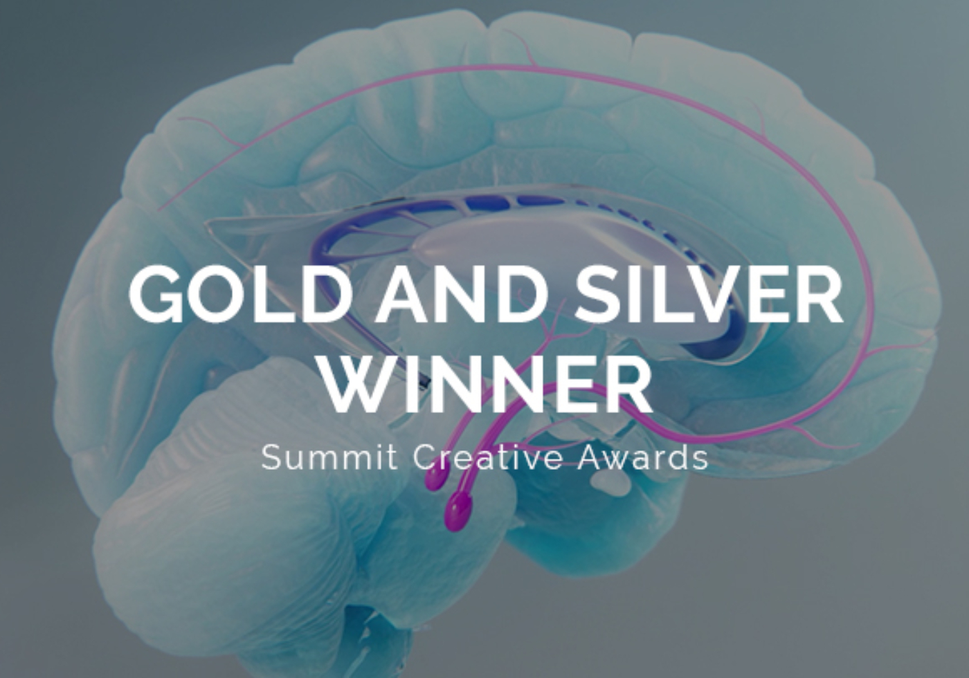 summit creative awards 2025