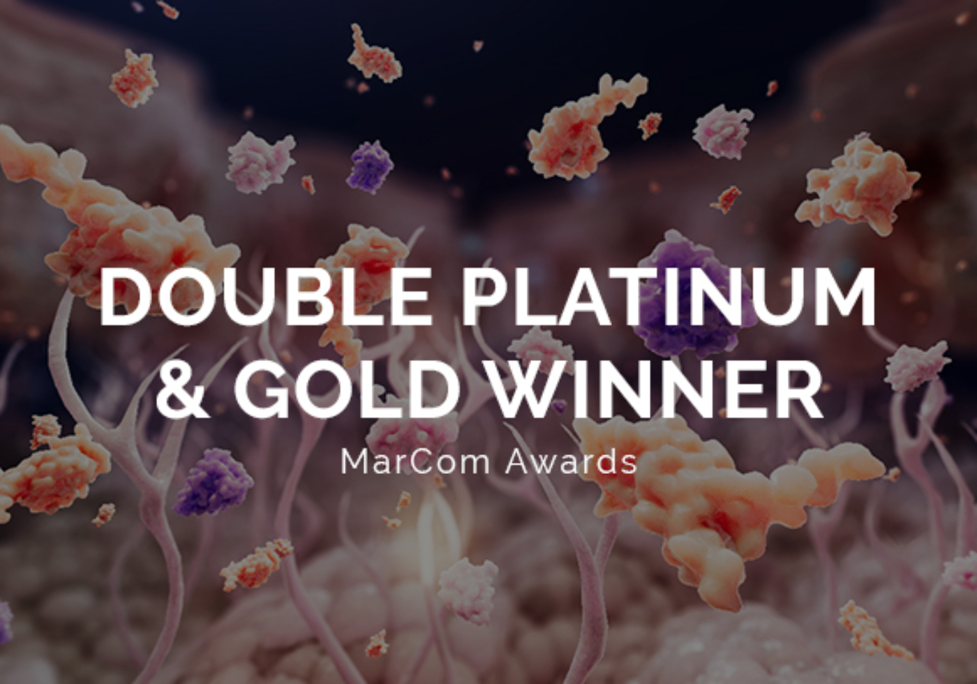 random42 marcom awards 2025