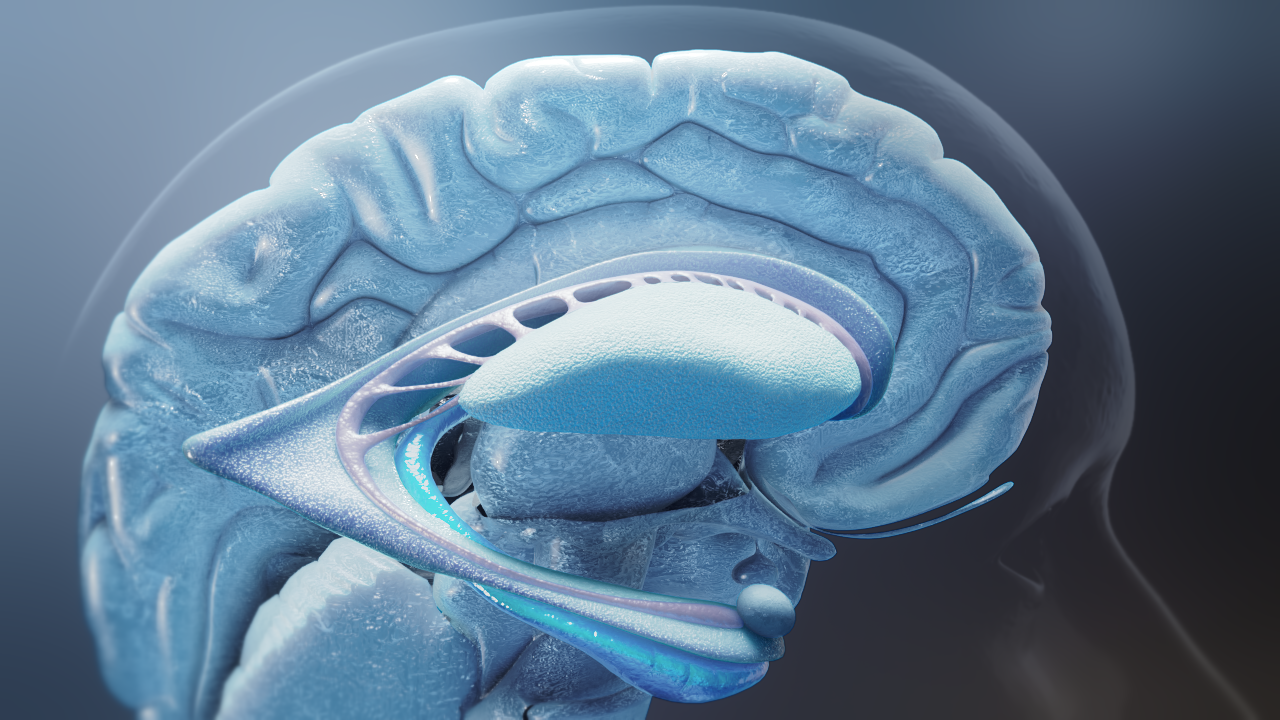 hcp patient educational digital content biotech industry