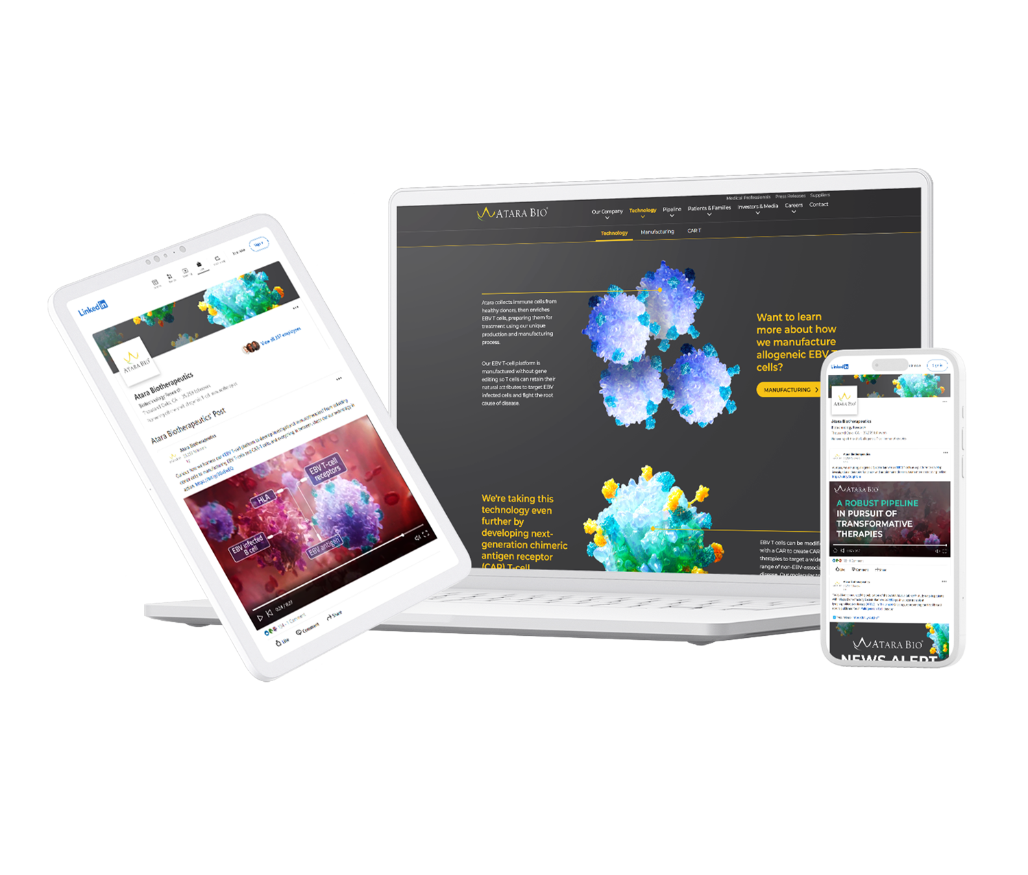 multiscreen image of scientific digital content for biotech social media