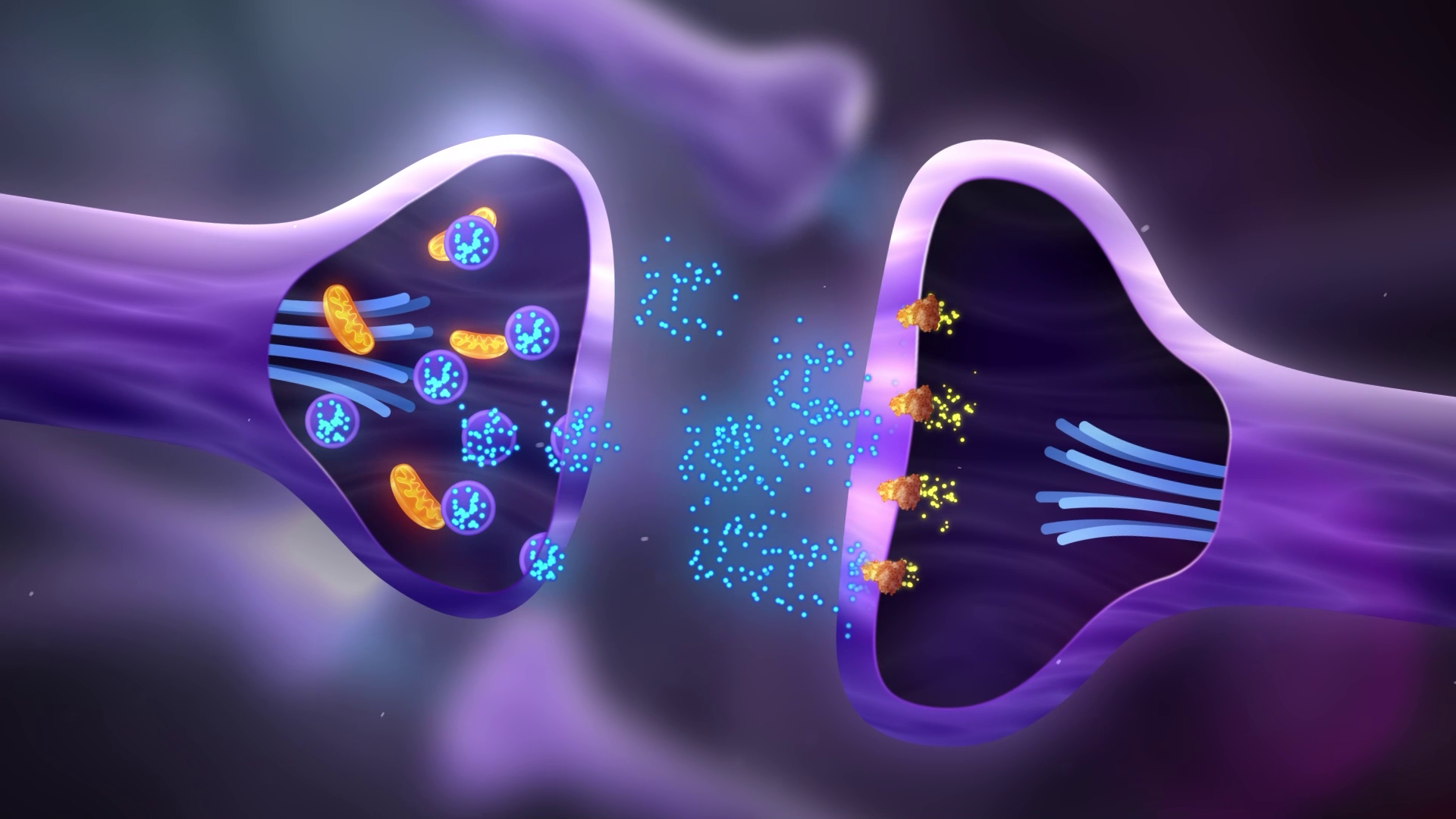 2d scientific animation showing neuron