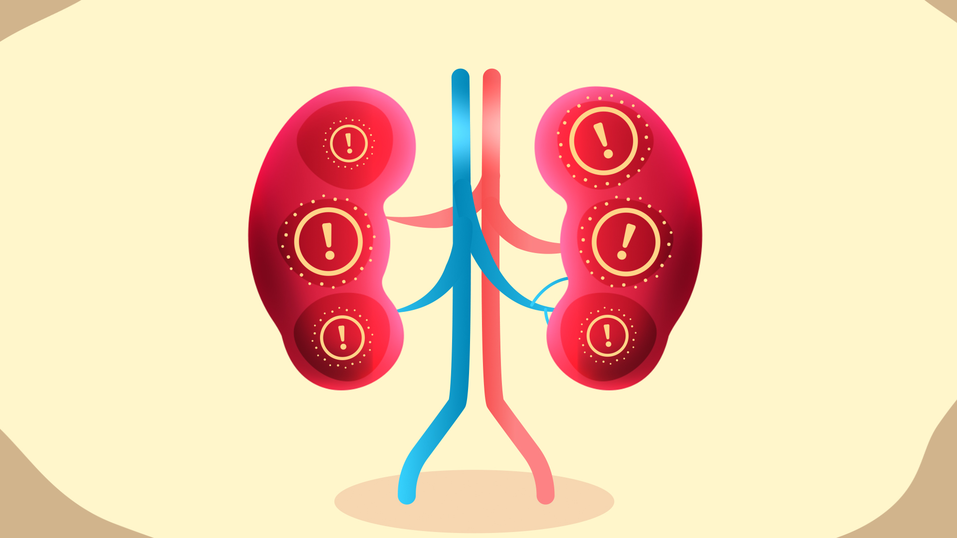 2d scientific animation showing kidneys