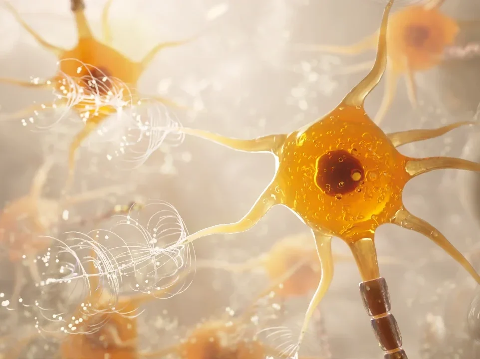 scientific-animation-neuron